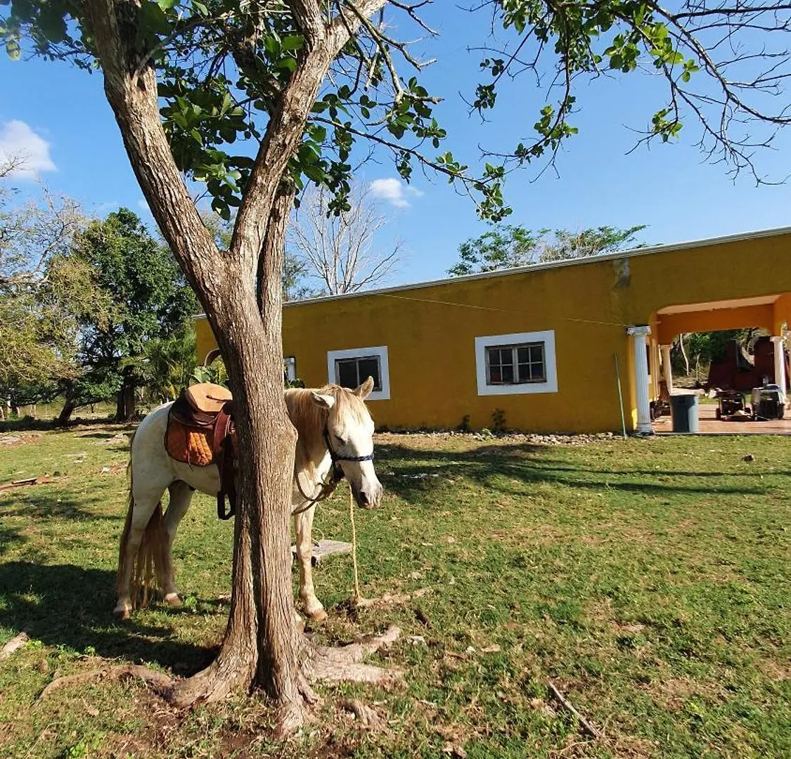 Hacienda Rancho Chable Villa Santa Cruz  Mexico