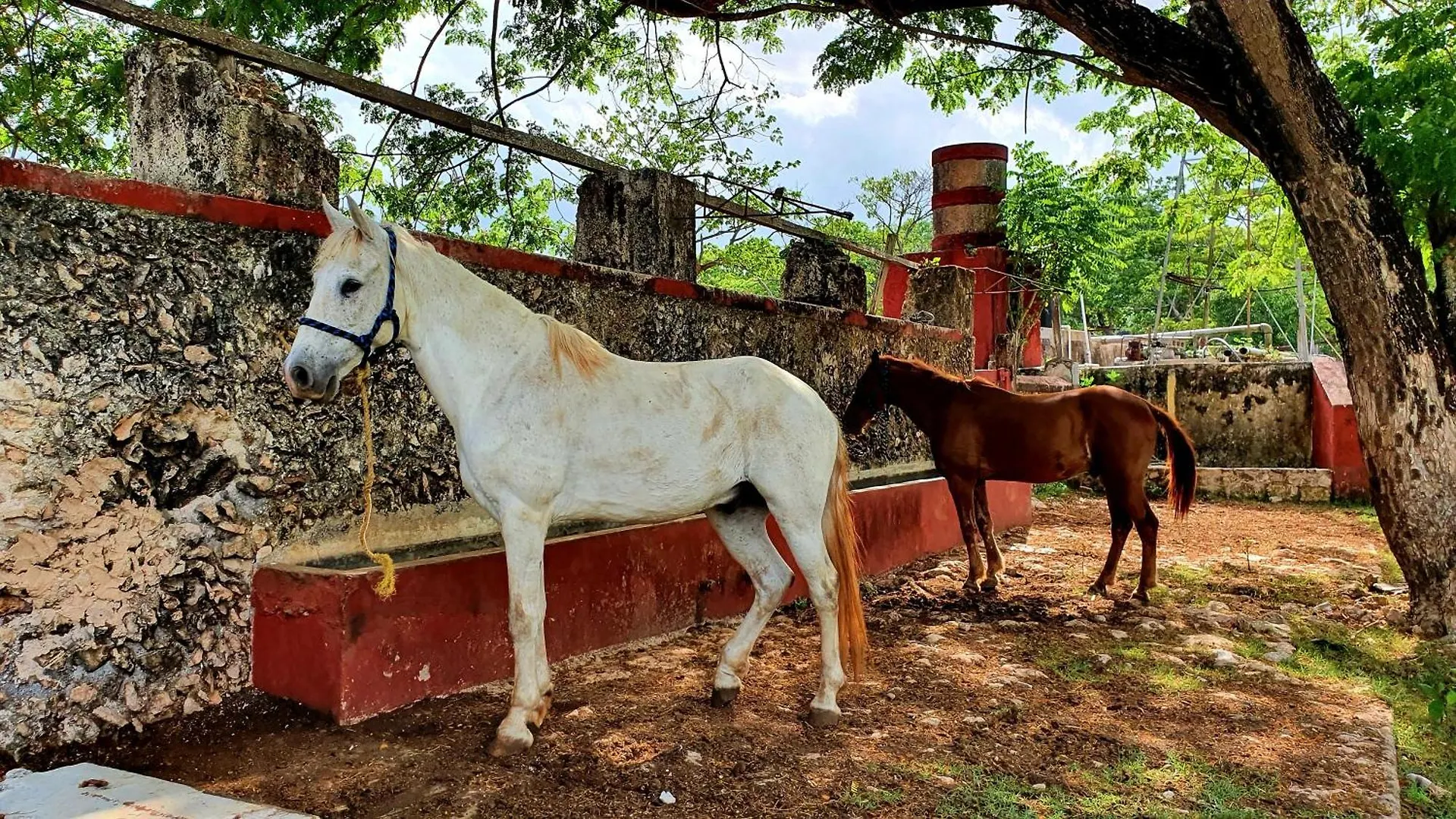 Hacienda Rancho Chable Villa Santa Cruz  Mexico